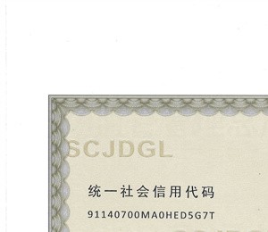 營(yíng)業(yè)執(zhí)照
